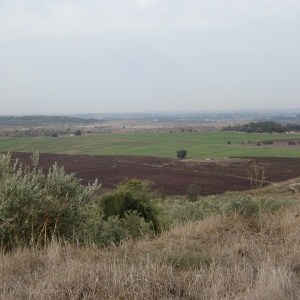 Plaine de Ayalon2