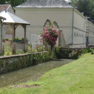 Douve